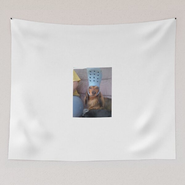 Item preview, dog wearing a croc designed and sold by madgeik.