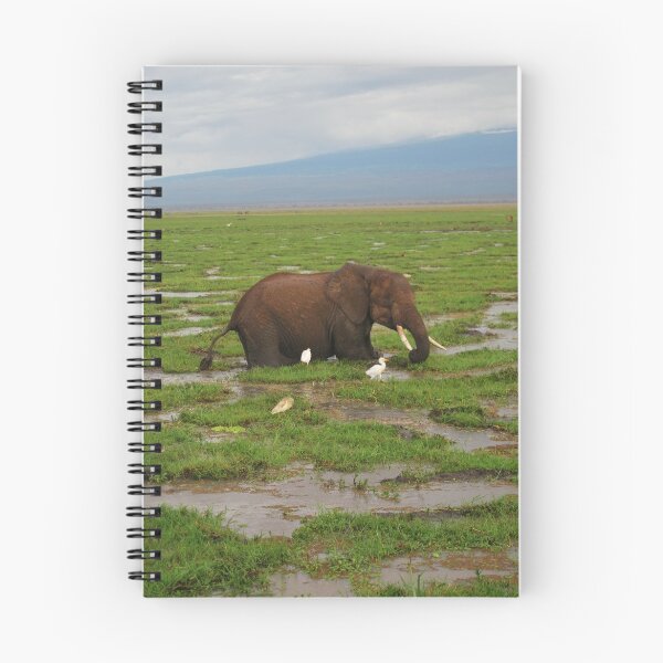 Item preview, Bathing Giant designed and sold by Carlos Rodriguez.