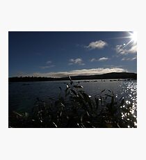 Sun Sparkle Photographic Print