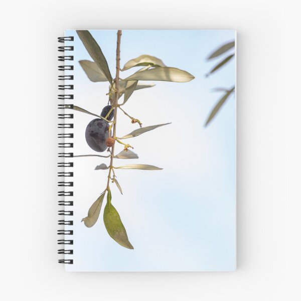 Item preview, Sprig of olive tree with ripe olive designed and sold by EG Creativity Art.