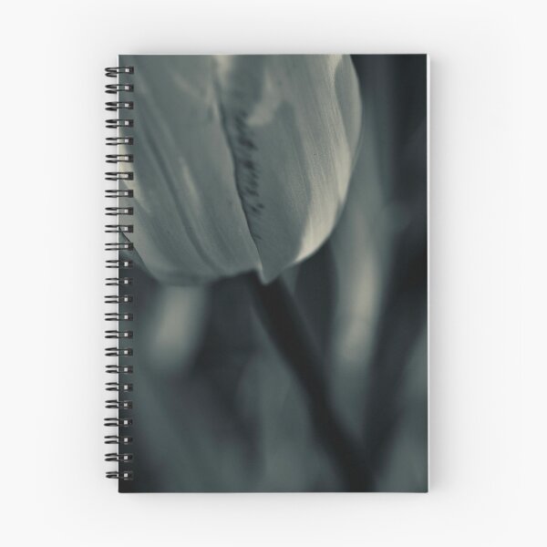 Item preview, Tulip designed and sold by Jean-François Dupuis.