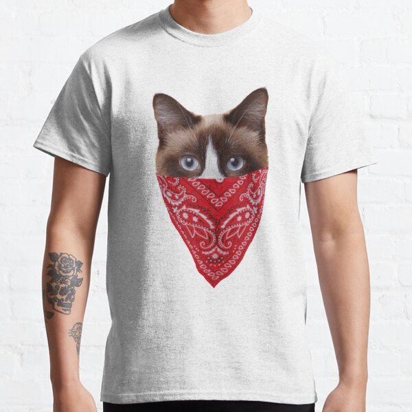 cat with bandana shirt