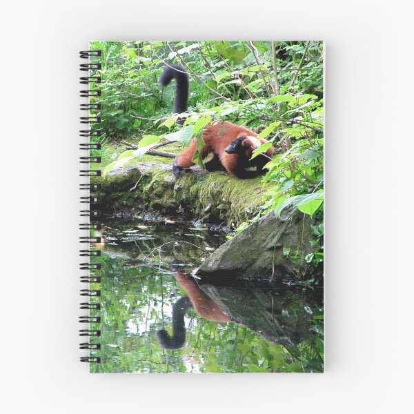 Item preview, Red Ruffed Lemur x 2 designed and sold by Sheila Smith.