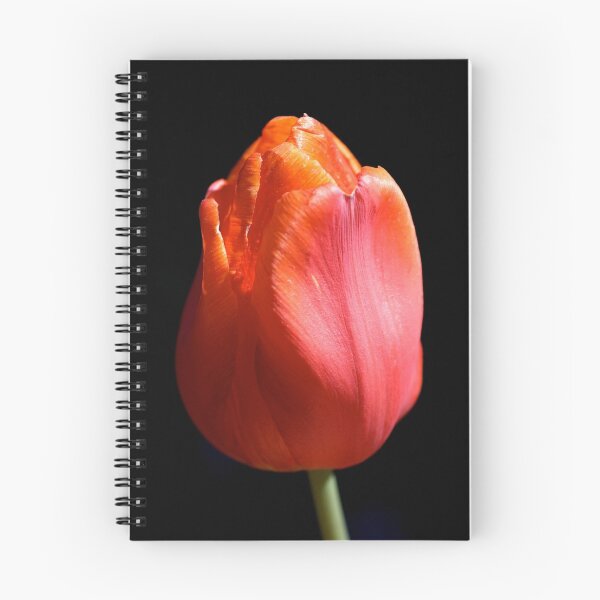 Item preview, Orange Sherbet Tulip designed and sold by LaWatha Wisehart.