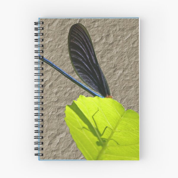 Item preview, Hiding designed and sold by Robert Abraham.
