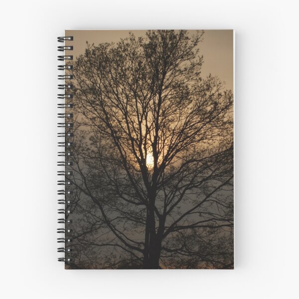 Item preview, One Fine Day designed and sold by Melody Ricketts.