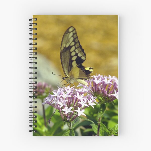 Item preview, Arnolds Butterfly designed and sold by Larry  Grayam.