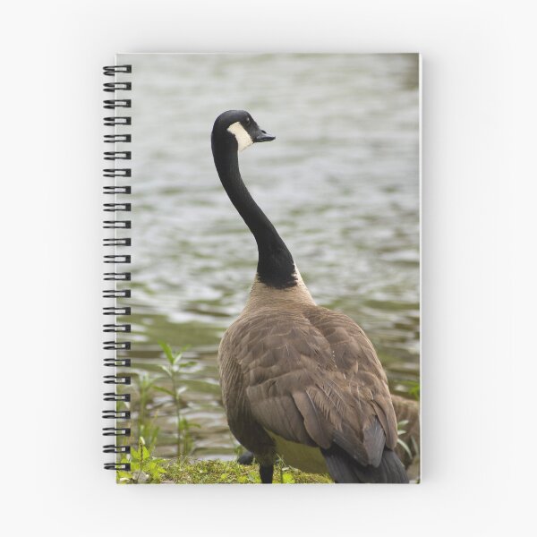 Item preview, Goose Neck designed and sold by Donna Wilkins.