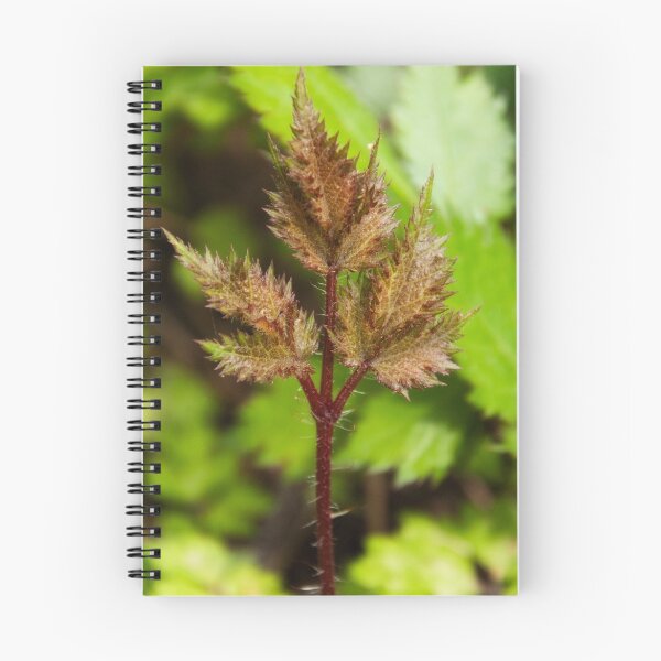 Item preview, Prickly Plant designed and sold by Jarede Schmetterer.