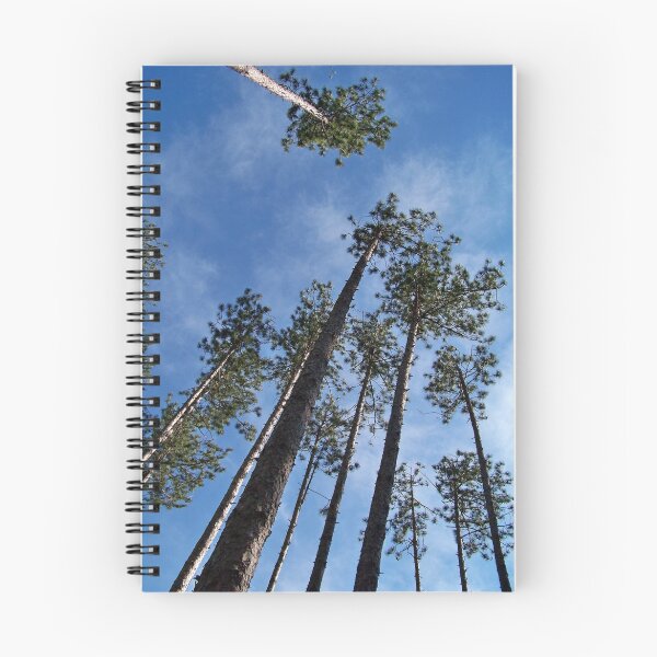 Artikelvorschau, Towering Pines entworfen und verkauft von Dandelion Dilluvio.