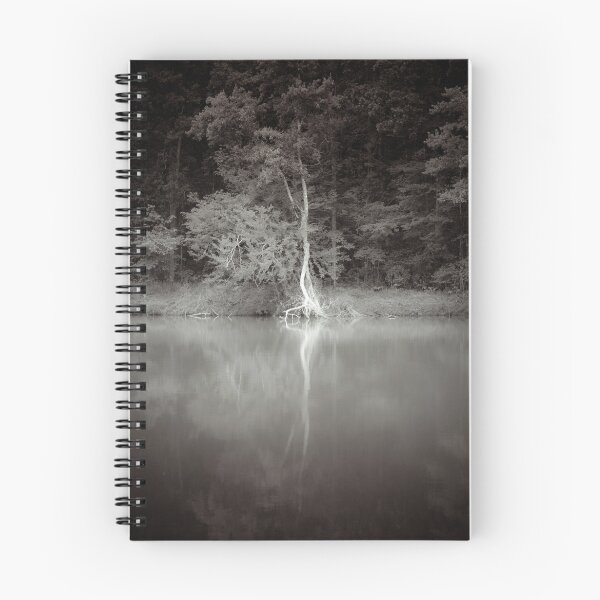Item preview, The Swamp designed and sold by Zohar Lindenbaum.