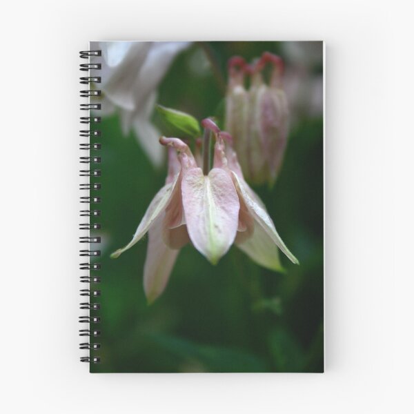 Item preview, Summer garden aquilegia 4 designed and sold by Bev Evans.