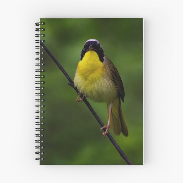 Item preview, Common Yellow Throat Warbler 7 designed and sold by John Absher.