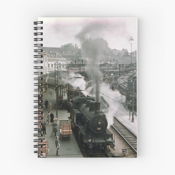Aperçu de l'œuvre Trains à vapeur à la gare de Berne 19570921 0009 créée et vendue par Fred Mitchell.