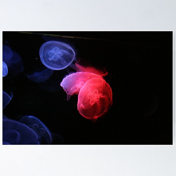 Item preview, Splash of floating colour designed and sold by Jodie Doyle.
