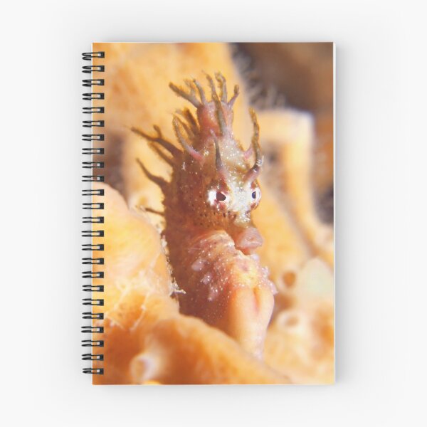 Item preview, I Heart Seahorse. designed and sold by James Peake Nature Photography..