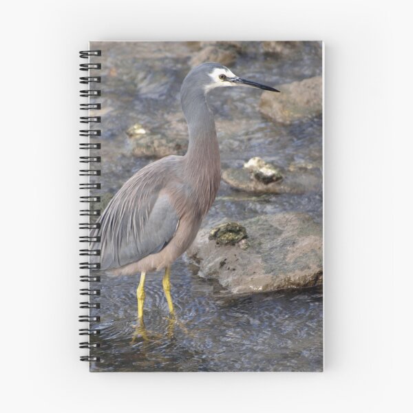 Item preview, Herron designed and sold by archieswell.