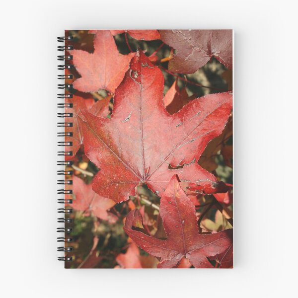 Item preview, Autumn designed and sold by lozbooth.