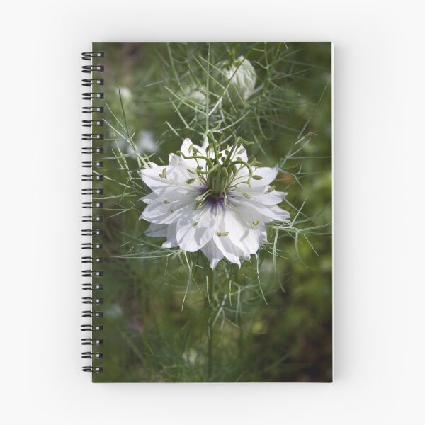 Item preview, Love in a mist designed and sold by David Clarke.