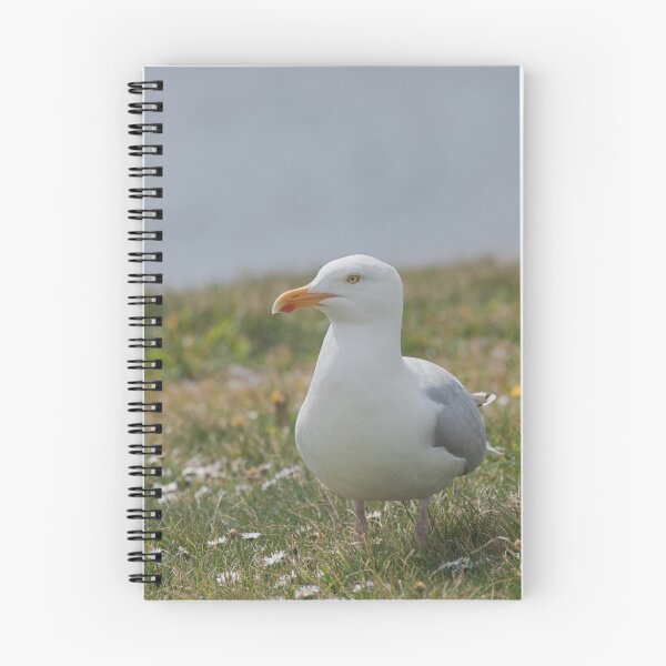 Item preview, Herring Gull Side View designed and sold by kernuak.