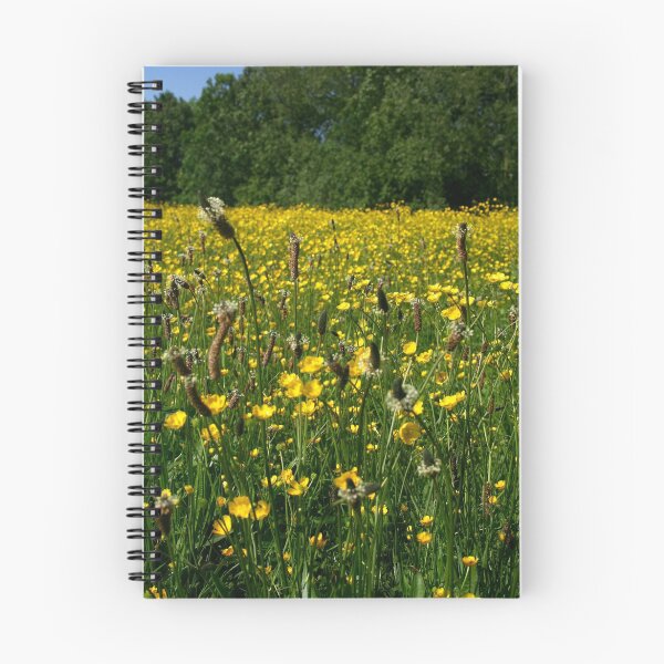 Artikelvorschau, Summer meadow entworfen und verkauft von Bev Evans.