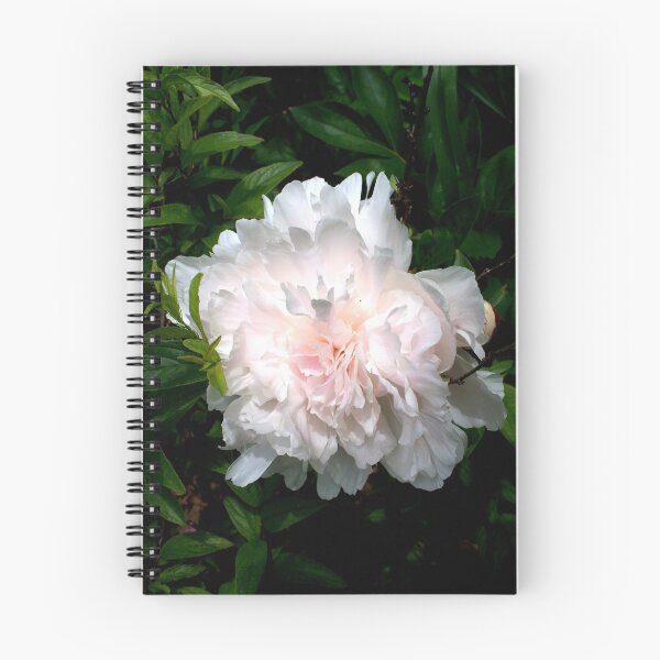 Item preview, Welcoming Spring - Peony designed and sold by WalnutHill.