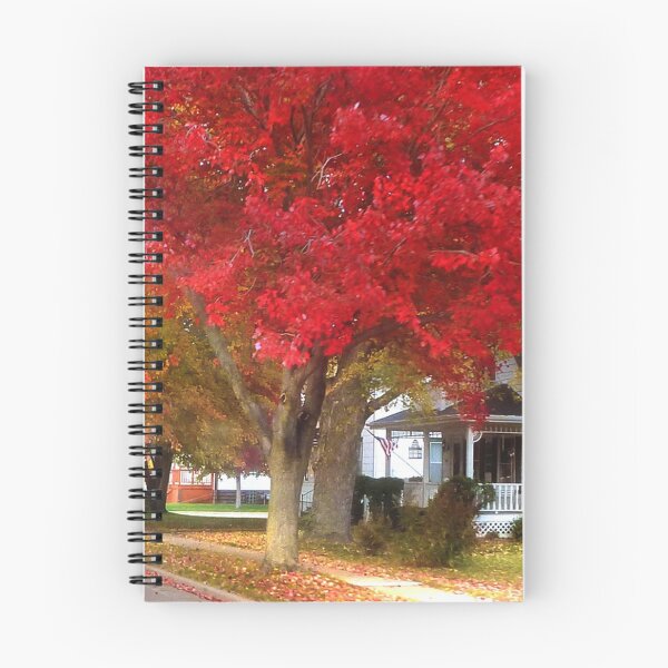 Item preview, Ravishing in Red designed and sold by Claude Johnson.