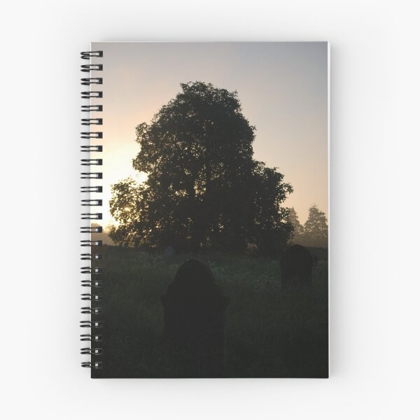 Item preview, Brixworth graveyard at dawn designed and sold by Jason Clarke.