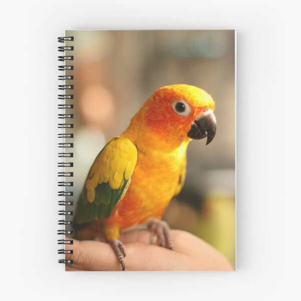 Item preview, Sun Conure designed and sold by adellecousins.
