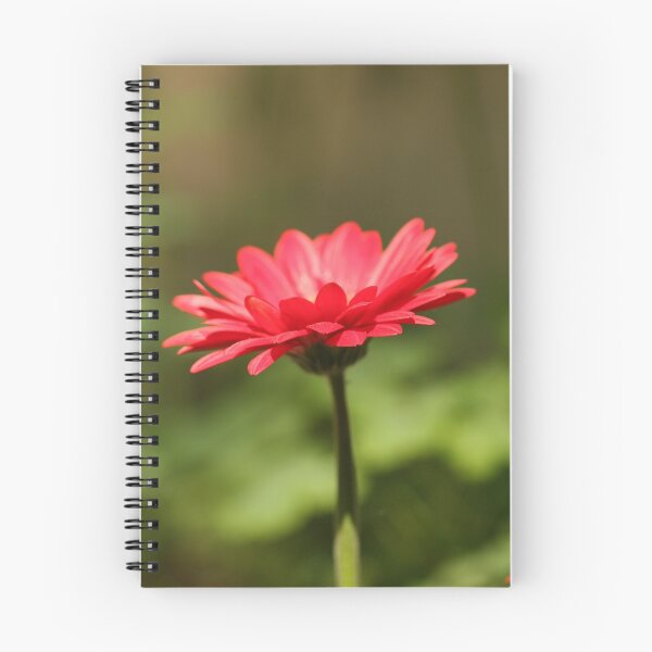 Item preview, Red Daisy designed and sold by MDossat.