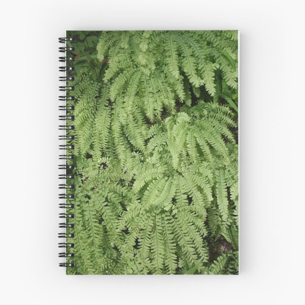 Item preview, Ferns Galore designed and sold by MountainLover.