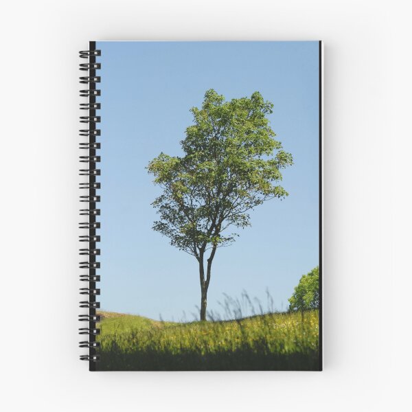 Item preview, The lonely tree. designed and sold by Kerensa Davies.