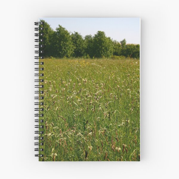 Item preview, Grasses in the meadow designed and sold by Bev Evans.