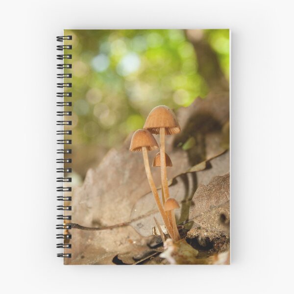 Item preview, Little Mushrooms designed and sold by MountainLover.