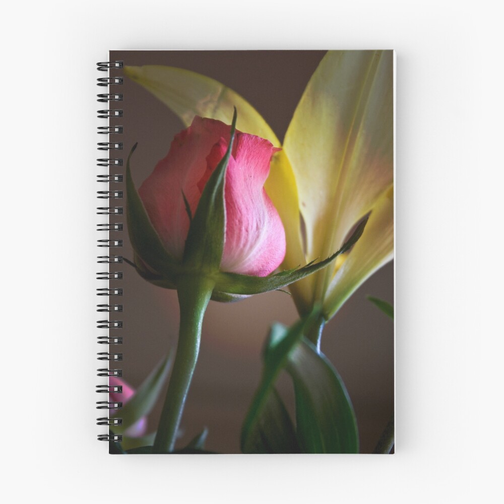 Item preview, Spiral Notebook designed and sold by GerryMac.
