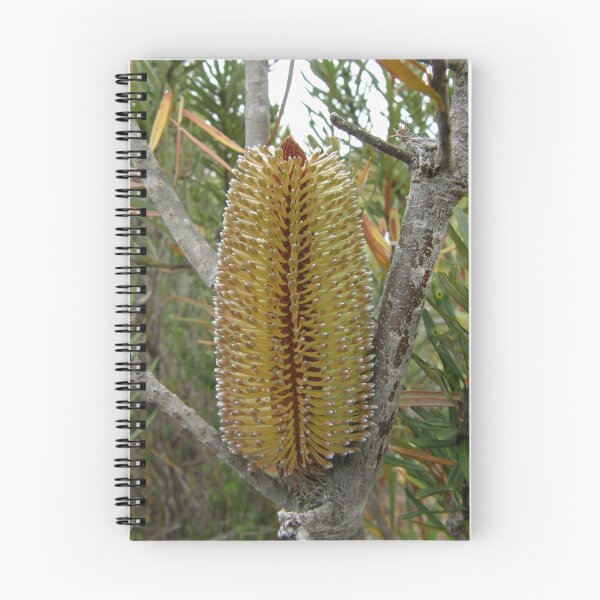Item preview, The Impressive Banksia designed and sold by Patty Lewis.