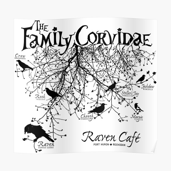 The Family Corvidae Poster