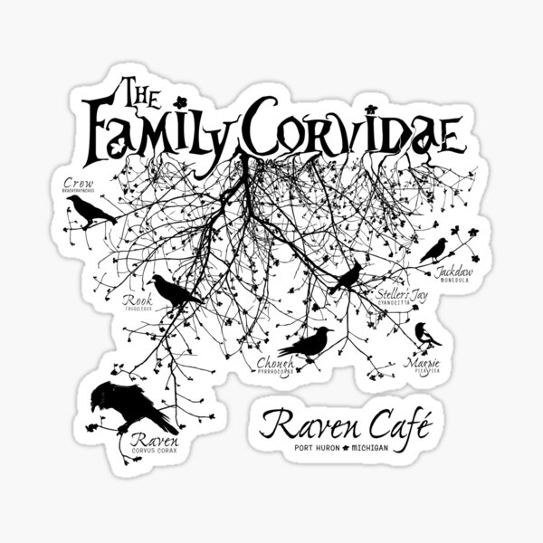 The Family Corvidae  Sticker
