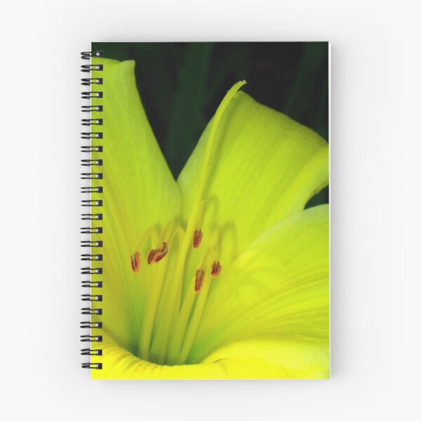 Item preview, Pollen designed and sold by Sophia Flot-Warner.