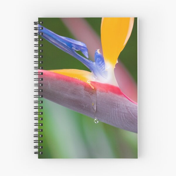 Item preview, Tears in Paradise designed and sold by Peter Pevy.