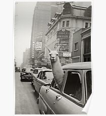 New York Llama - Poster