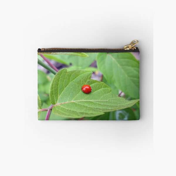 Aperçu de l'œuvre the lonely ladybug  créée et vendue par feiermar.