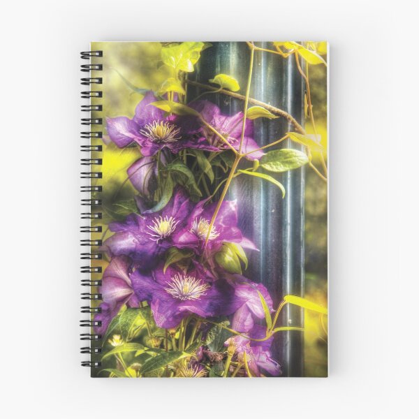 Artikelvorschau, Clematis & Lamp entworfen und verkauft von Mike Savad Photography.