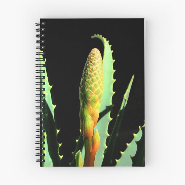 Item preview, Aloe Bud designed and sold by Ellen Cotton.