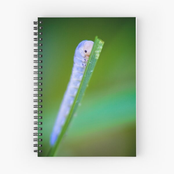 Item preview, Inching Upward designed and sold by Christopher Bookholt.