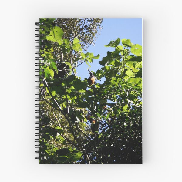Item preview, Bats in Tree designed and sold by Jodie Cooper.