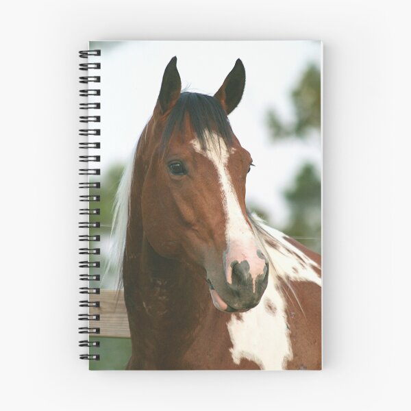 Item preview, Bullseye Headshot designed and sold by Emily Peak.