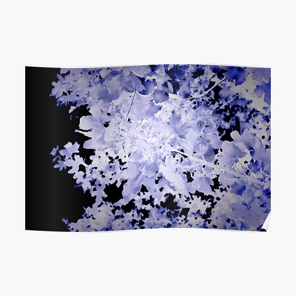 Blue leaves landscape photograph Poster