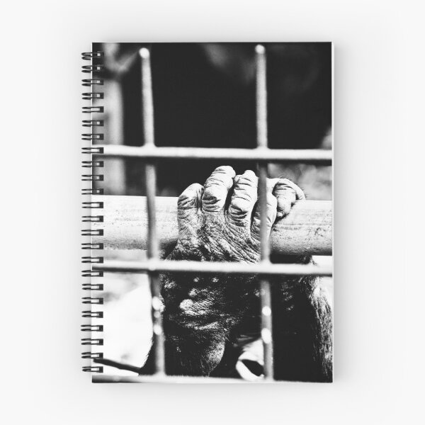 Item preview, Grip designed and sold by Pat Shawyer.