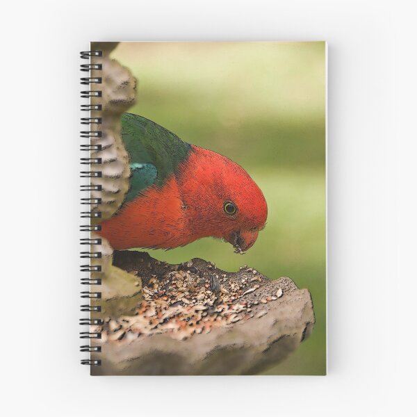 Item preview, King Parrot designed and sold by Claire  Farley.